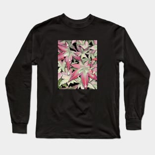 Japanese Maple Starting to Turn Long Sleeve T-Shirt